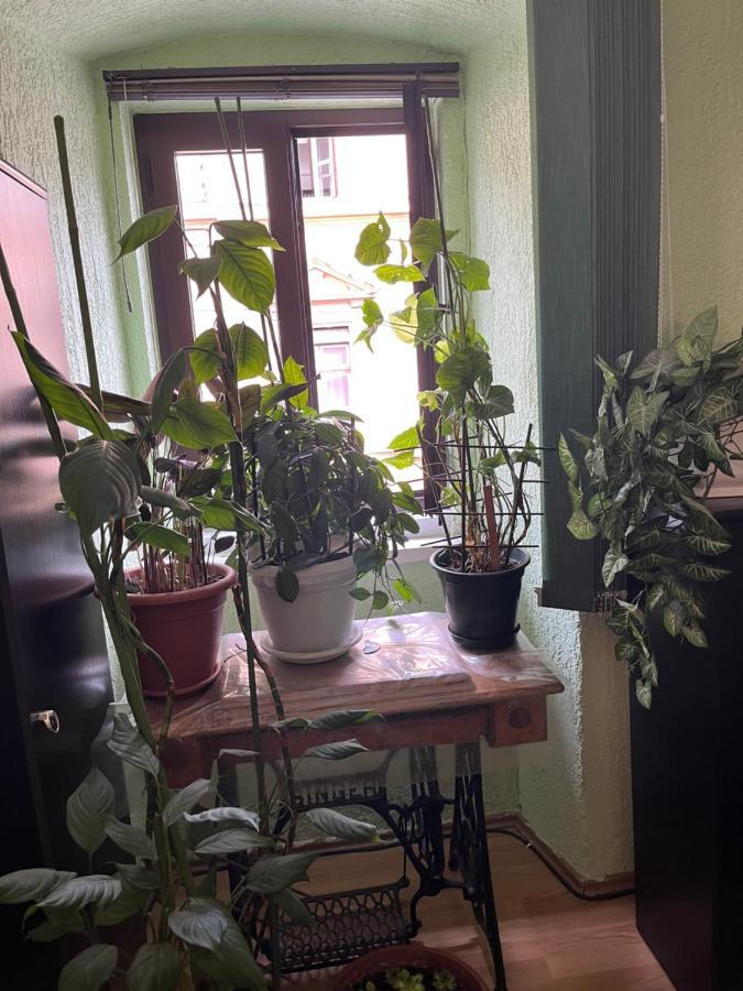 Apartman Lora Apartment Rijeka Luaran gambar